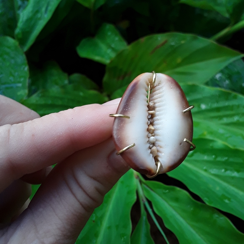 Handmade Hawaiian Cowrie Shell Seashell Ring